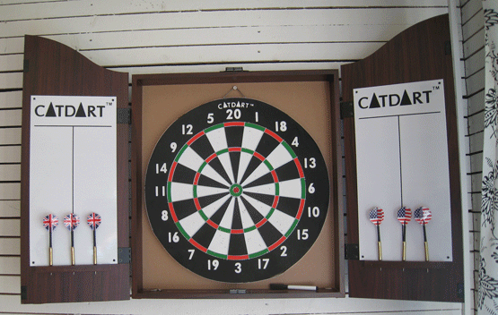 Dart